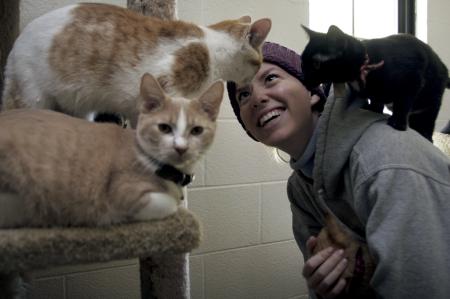 Sydney Toland plays with cats at the Jackson Madison County Humane Society during Day of Remembrance. The society is always looking for people to come out to spend time and play with the animals. - Photo by Kyle Kurlick