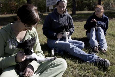 Leah Littlefield, Andy Baldwin and Lori Landon spend Day of Remembrance at the Jackson Madison County Humane Society playing with the cats and taking the dogs out for walks and playing with them in the front yard. - Photo by Kyle Kurlick