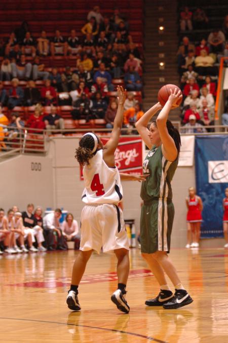 Junior Jessica Graves stretches to reach above her opponent during the first game of this year's NAIA.  - Photo by Neisha Fuson