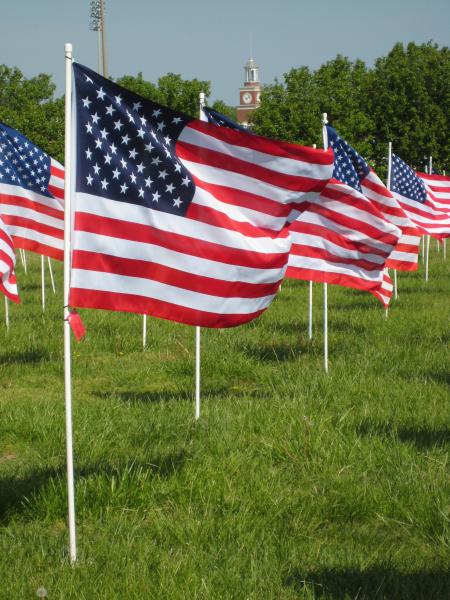 1,500 American flags fly on Union's south lawn, by the U, to help raise awareness of child abuse as a part of the Flags of Freedom campaign.  - Photo by Neisha Fuson