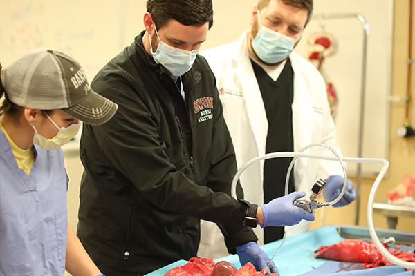 Nurse Anesthesia