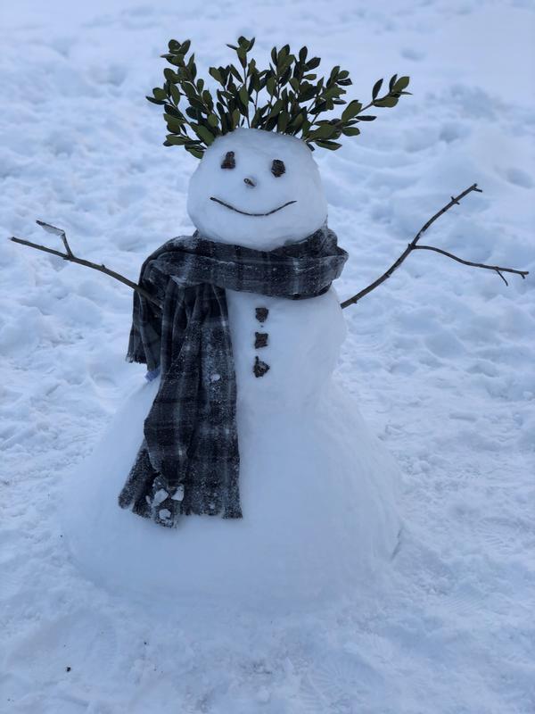 Fun in the Snow