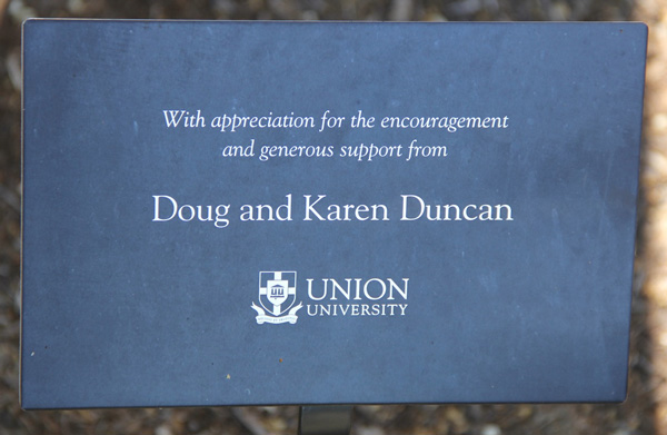 Duncan Bench 2