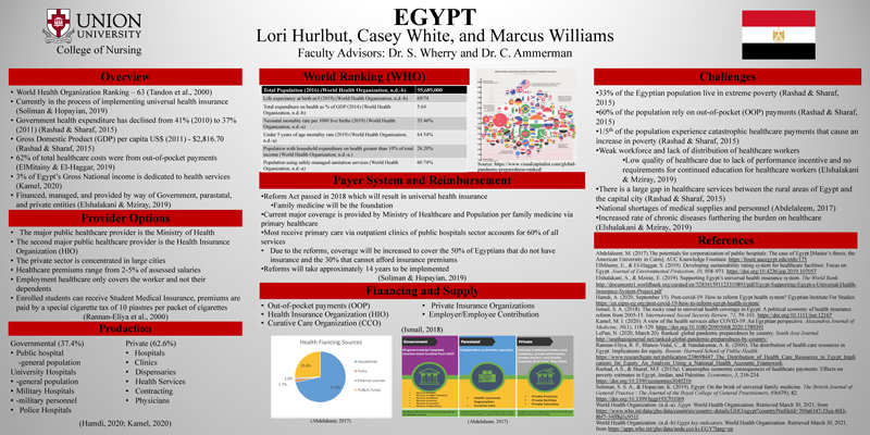 Comparison of International Health Care Systems: Egypt