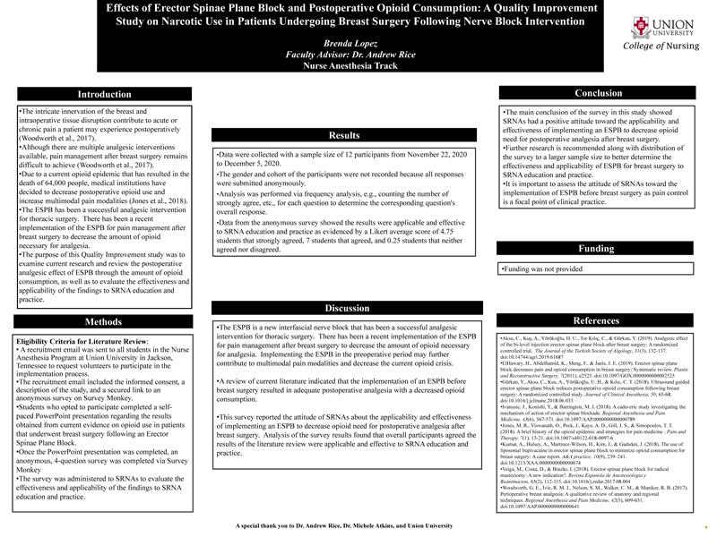 Effects of Erector Spinae Plane Block and Postoperative Opioid Consumption: A Quality Improvement Study on Narcotic Use in Patients Undergoing Breast Surgery Following Nerve Block Intervention