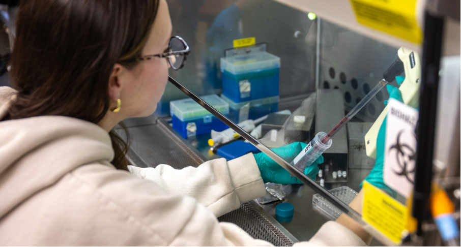 Research at Union University