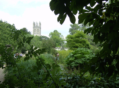Magdalen Tower from the Botanic Garden