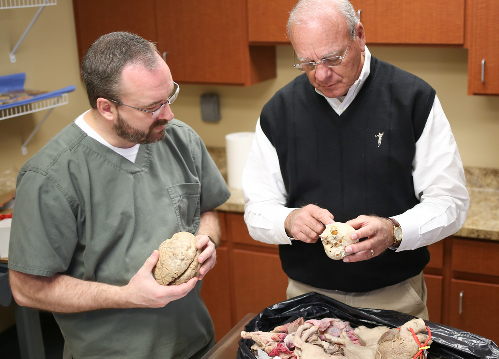plastination investigation
