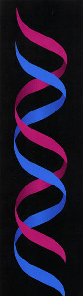 cell.gif (48043 bytes)