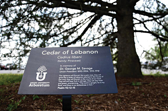 Union's Arboretum