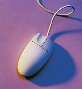 mouse.jpg (24296 bytes)