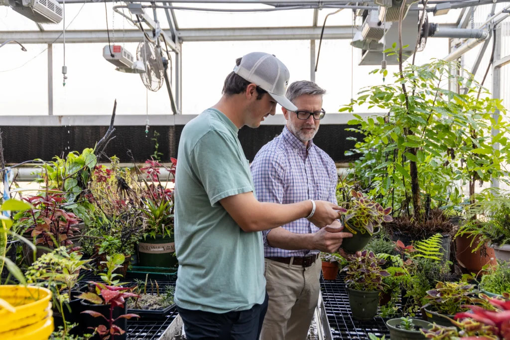 Two men stand in a greenhouse surrounded by potted plants. One man in a cap holds a plant while the other, wearing glasses, examines it. Sunlight enters through the glass roof.