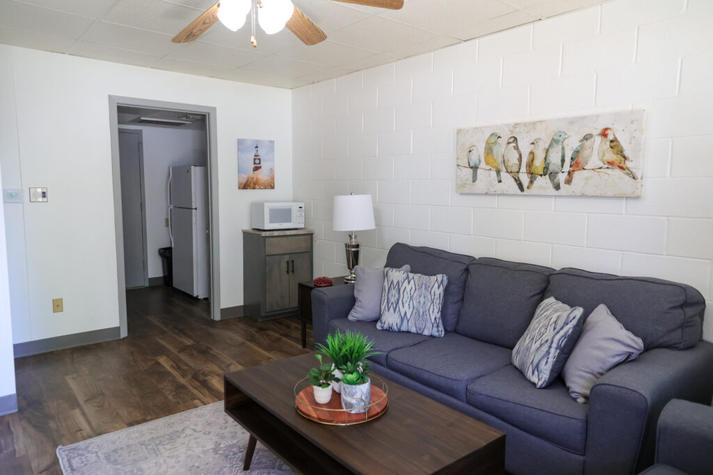 A living room with a gray couch, four pillows, a wooden coffee table with a plant, a wall painting of birds, wood floors, and a small kitchenette area with a fridge, microwave, lamp, and lighthouse photo.