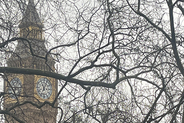 The clock tower known as Big Ben is partially visible behind leafless tree branches on a cloudy day—a classic London scene that inspires dreams of study abroad. The clock face shows the time as 1:41.