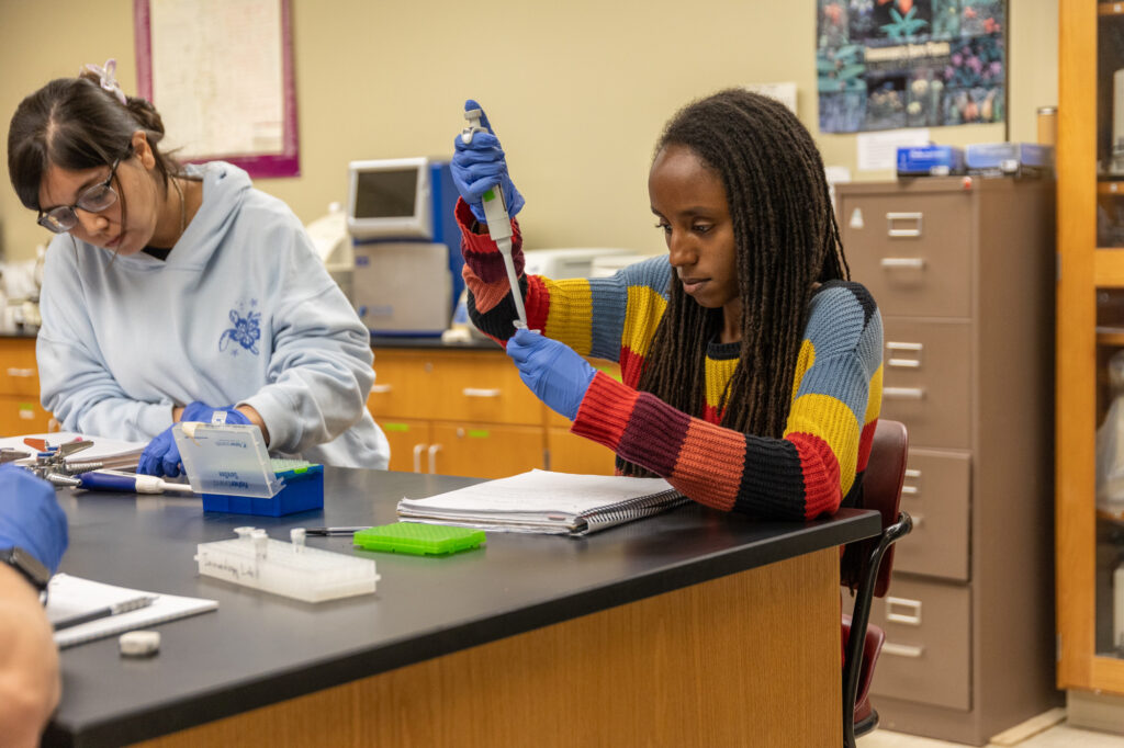 A student with long dark hair wearing a multicolored striped sweater uses a pipette in a laboratory while another student works beside her.